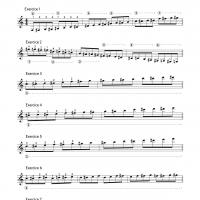Eh 15 2 av exercices chromatiques extrait